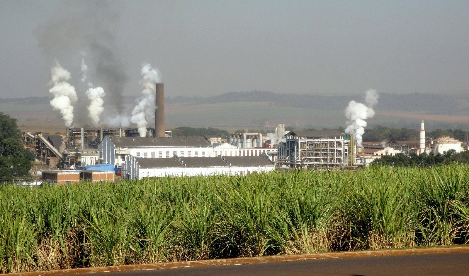 Brazilian sugar mill and cane fields — Brazilian Sugar ICUMSA 45